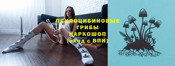 шишки Бронницы
