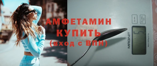 шишки Бронницы