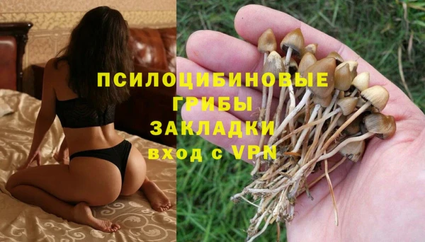 мяу мяу мука Бугульма
