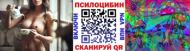 МЕГА tor Тюмень Галлюциногенные грибы Psilocybe